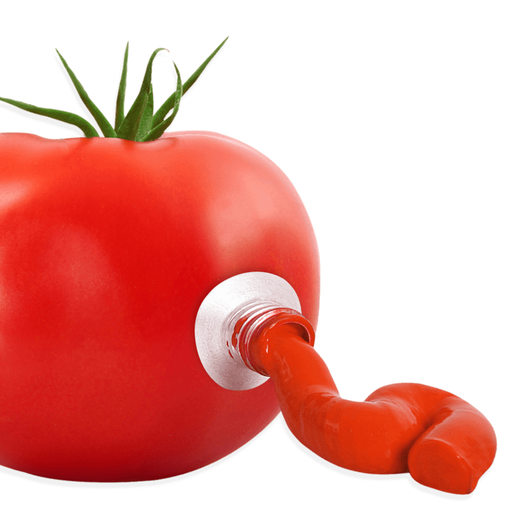Concentrado de Tomate - Productos Las Marismas de Lebrija