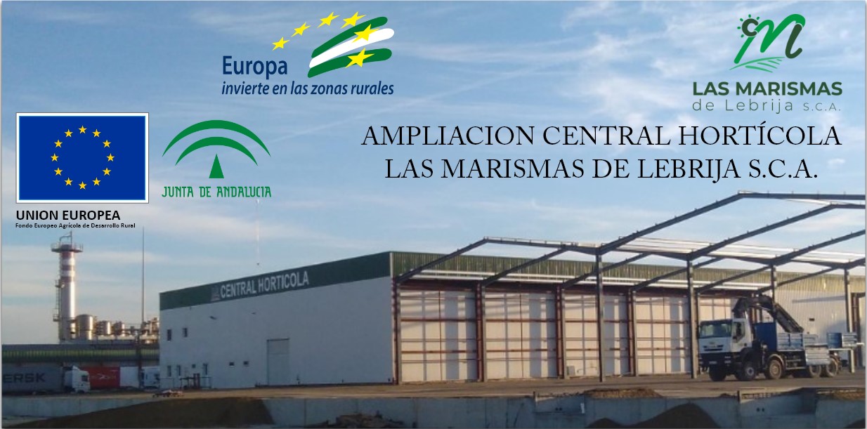 Las Marismas de Lebrija S.C.A. crece para impulsar el sector hortícola en el Bajo Guadalquivir