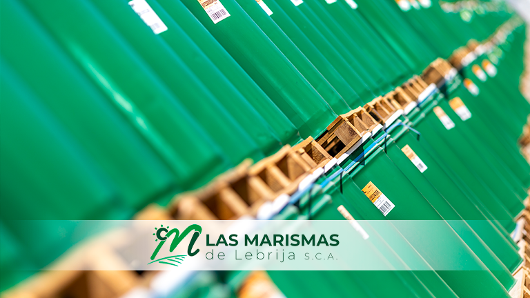 Las Marismas de Lebrija cierra la campaña procesando 34958 toneladas de concentrado de tomate - Las Marismas