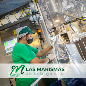 Las Marismas de Lebrija SCA certifica su compromiso con el comercio ético a través de SMETA de SEDEX