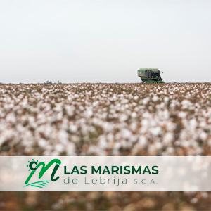 Las Marismas de Lebrija se muestra contraria al decreto que regulará el periodo de convergencia de la PAC a partir de 2021 y su recorte de derechos en el Sector B-XII del Bajo Guadalquivir.