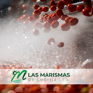 Producción mundial de concentrado de tomate