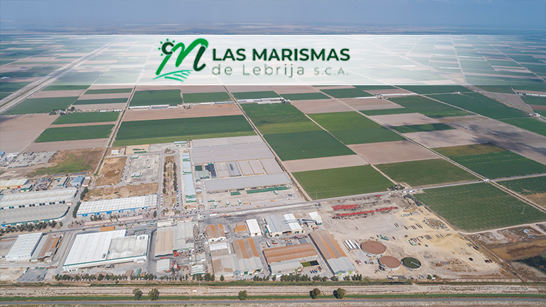 Las Marismas de Lebrija acusa al Gobierno de España de asfixiar a las empresas y destruir empleo mientras permite la especulación - Las Marismas