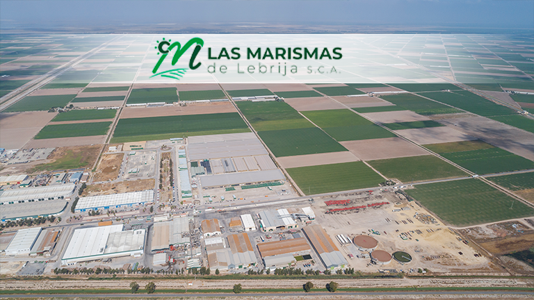 Mercado derechos de emisión de CO2: Las Marismas de Lebrija SCA denuncia públicamente el abusivo incremento de sus precios