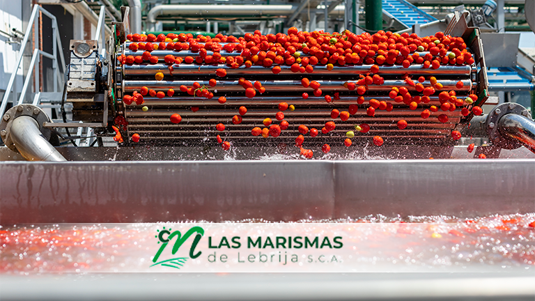 La evolución mercado derechos de emisión dificulta la situación de nuestra fábrica de tomate