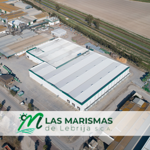 proyectos modernizacion las marismas de lebrija sca