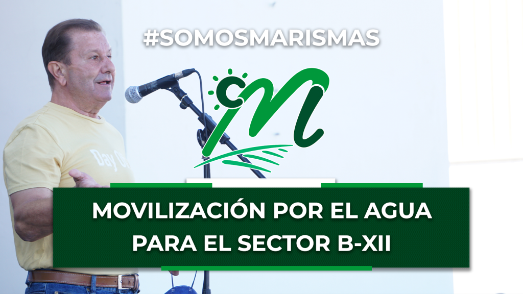 Movilización por una dotación justa del agua para el Sector B-XII - Las Marismas Movilización por una dotación justa del agua para el Sector B-XII - Las Marismas