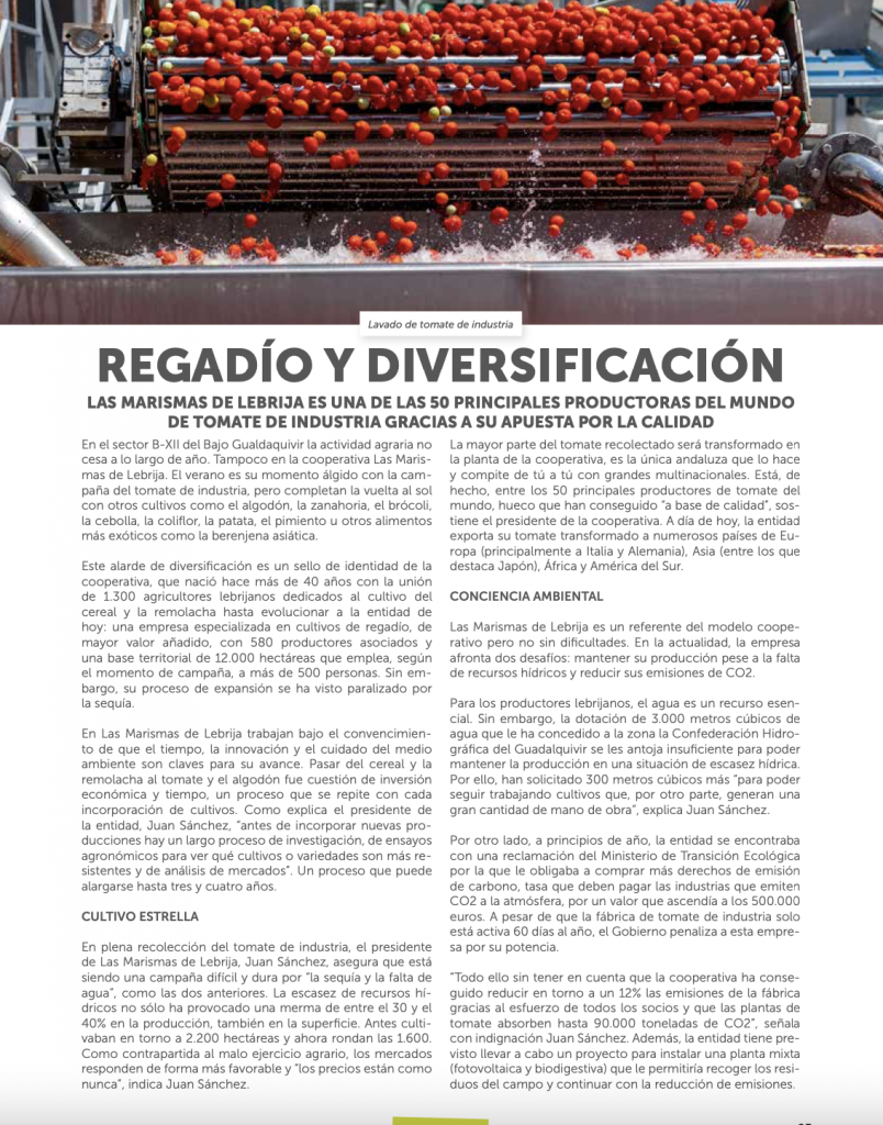 Las Marismas de Lebrija SCA, protagonista del nuevo número de Tierra Cooperativa - Las Marismas Las Marismas de Lebrija SCA, protagonista del nuevo número de Tierra Cooperativa - Las Marismas