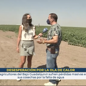 Las Marismas de Lebrija SCA en el programa La Hora de la 1 de RTVE