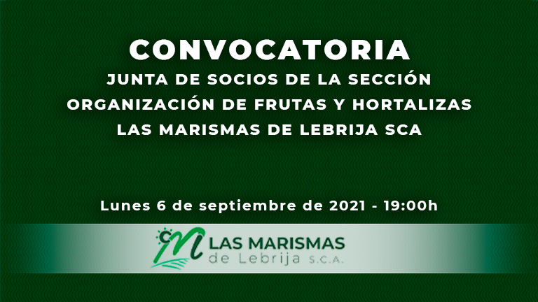 Convocatoria Junta de Socios de la Sección O.P.F.H. Las Marismas de Lebrija SCA - Las Marismas Convocatoria Junta de Socios de la Sección O.P.F.H. Las Marismas de Lebrija SCA - Las Marismas