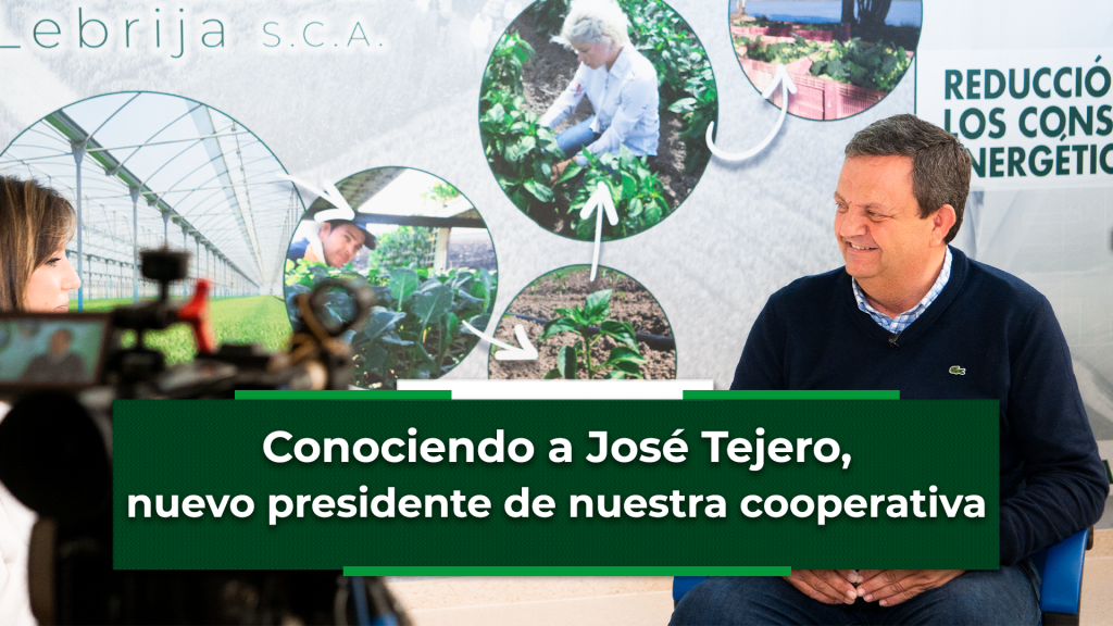 Fotografía de la entrevista a José Tejero, nuevo presidente de la cooperativa Las Marismas de Lebrija
