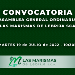 Convocatoria Asamblea General Ordinaria 19 julio 2022 - Las Marismas de Lebrija SCA