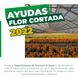 AYUDAS FLOR CORTADA ANDALUCÍA 2022