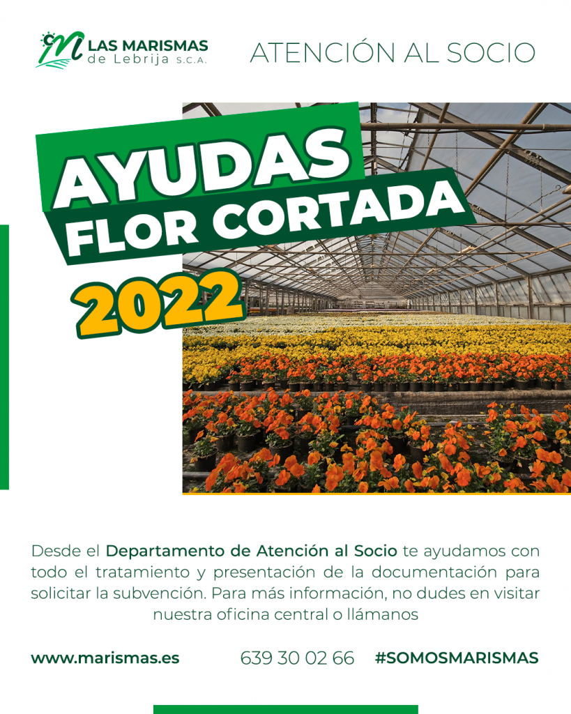 AYUDAS FLOR CORTADA ANDALUCÍA 2022