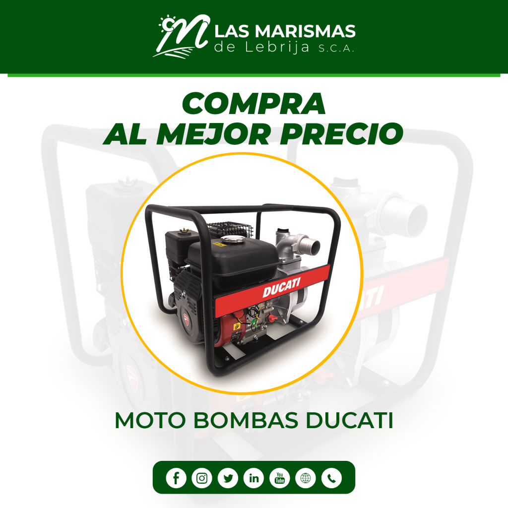 Motobombas Ducati al mejor precio en Departamento de Riegos de Las Marismas de Lebrija SCA