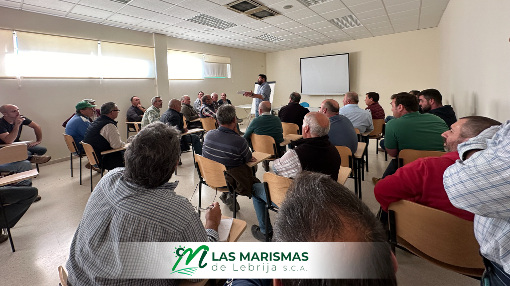 Agricultores y socios de Las Marismas de Lebrija SCA reciben una charla sobre la nueva PAC 2024.