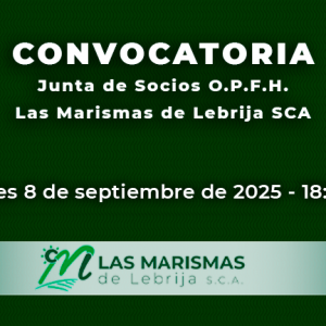 Inicio - Las Marismas