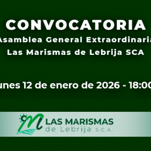 Inicio - Las Marismas Inicio - Las Marismas