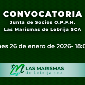 Inicio - Las Marismas