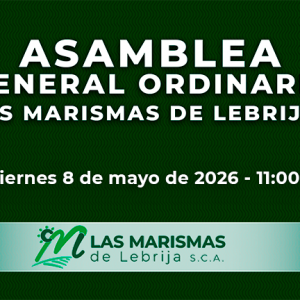 Inicio - Las Marismas