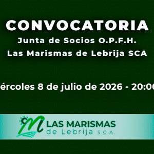 las marismas