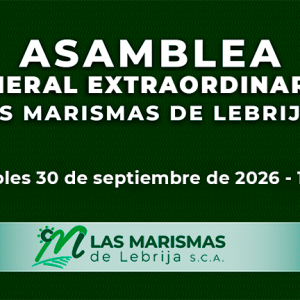 las marismas